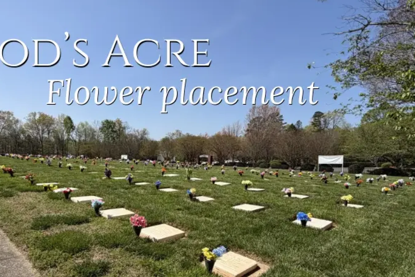 Gods Acre